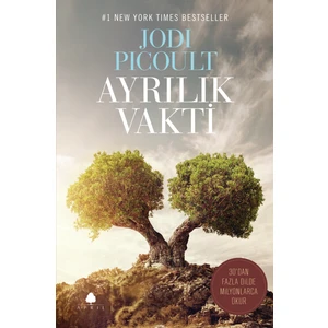 Ayrılık Vakti - Jodi Picoult