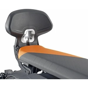 TB5142A Bmw Ce 04 (22-23) Sissy Bar