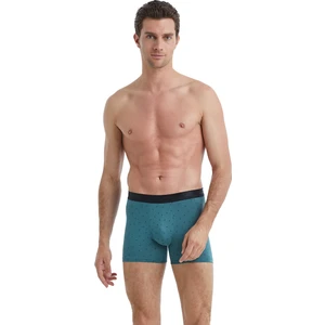 Erkek Boxer 40540 - Yeşil