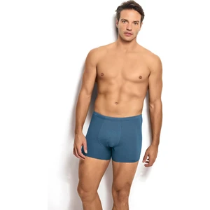 Erkek Bambu Indigo Boxer 278