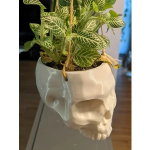 3D Layer Craft Asılabilir Kafatası Saksı Beyaz Renk