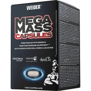 Mega Mass Capsules Hmb Losin – 120 Caps