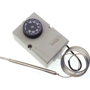 Phoenix E0000239 F2000 -30º - +30º Kuyruklu Termostat