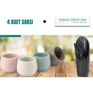 Plant Home Kaktüs Dikim Seti + 4 Adet Kaktüs Sukulent Saksısı (Renkli)