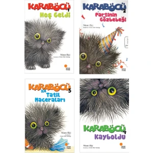 1. 2. ve 3. Sınıf Karaböcü Hikaye Seti 4 Kitap