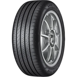 225/55 R17 101W Xl Efficientgrip Performance 2 Oto Yaz Lastiği ( Üretim Yılı: 2024 )