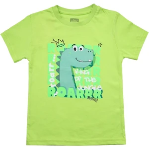 Sevimli Dinozor Baskılı Erkek Bebek Tshirt Yeşil