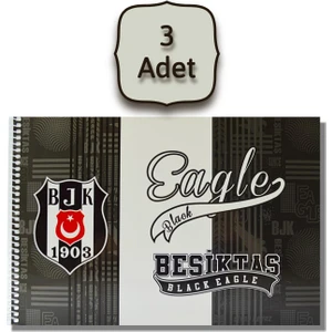 Beşiktaş 17X24 15 Yaprak Karton Kapak Spiralli Resim Defteri 3 Adet