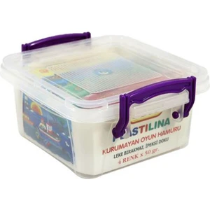 Oyun Hamuru Plastik Kutuda 50GR 4 Renk