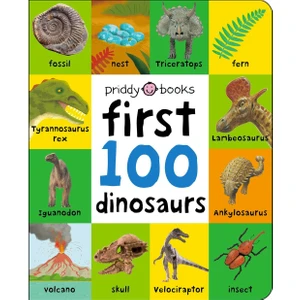 Prıddy Books   First 100 Dinosaurs