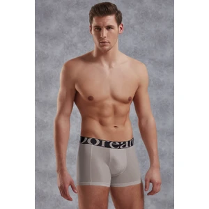 Gri Erkek Modal Torbalı Normal Paça Boxer