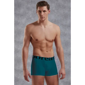 Zümrüt Erkek Modal Torbalı Normal Paça Boxer