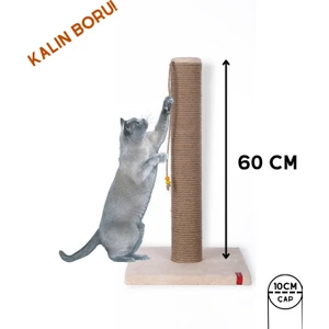 60CM Catnipli Kalın Borulu Dev Tırmalama Tahtası Minder Yüzey  Krem