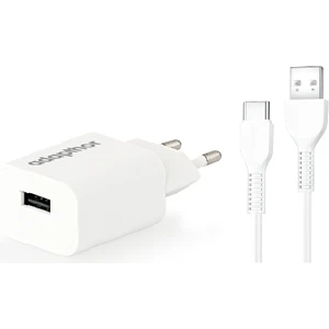 10W 5V 2.1A Tek USB + USB To Type C  2.4A Kablolu Set  Beyaz
