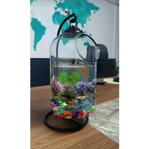 Trend Markam Ferforjeli Akvaryum Askılı Fanus Teraryum Ofis