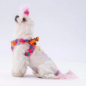 Air-Mesh Monsters Köpek Göğüs Tasması