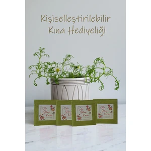 100 Adet Kişiye Özel Dağıtmalık Hediyelik Kına, Kına Gecesi, 6 Ay Kınası, Hediye Kına Paketi