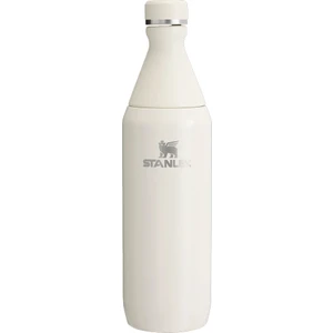 The All Day Slim Soğuk Su Şişesi Termosu 0,60 Lt