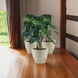 Temmuz Home No4 3 Adet 4,8 Litre Karasu Plastik Yakamoz Saksı