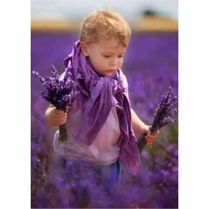 Tüplü Kokulu Aromatik Lavanta Fidanı