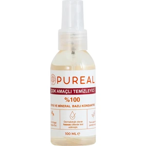 Mini Çok Amaçlı Temizleyici