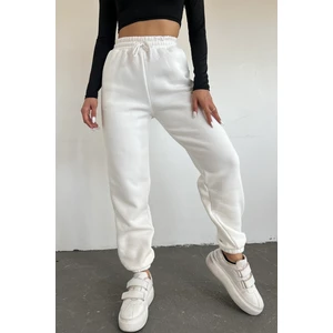 Kadın 3 Iplik Şardonlu Eşofman Altı