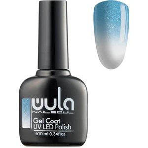 Kalıcı Oje Nailsoul Termo Simli Ton 643 10 ml