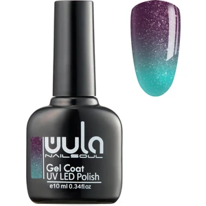 Kalıcı Oje Nailsoul Termo Simli Ton 647 10 ml