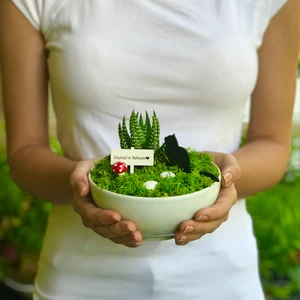 Kedili Teraryum Bahçesi 1 - Luna Koleksiyonu