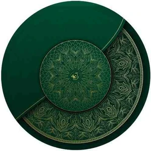 Kaliteli Orijinal Erbane Def +(Kılıf )