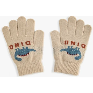 Triko Eldiven Dinozor Desenli