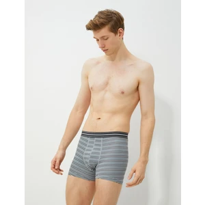 Boxers Bsc