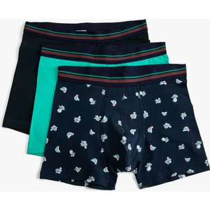 Boxers Bsc
