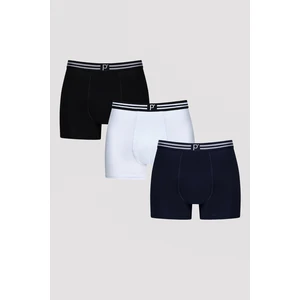 Panel Çok Renkli 3lü Boxer