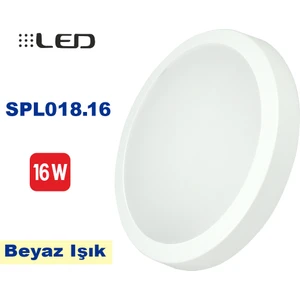 16W LED Glob Tavan Armatürü - Beyaz Kasa