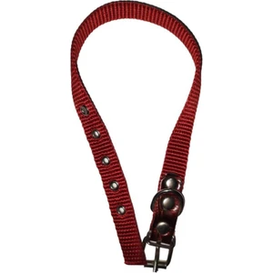 Köpek Boyun Tasma 1,5 cm x 40 cm Kırmızı