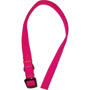 Köpek Boyun Tasma 1,5 cm x 40 cm Pembe
