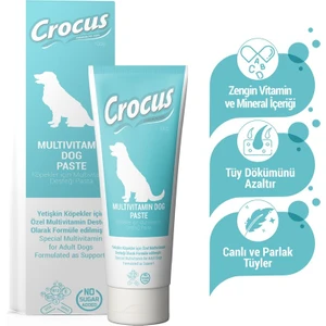 Köpek Multivitamin Macun 100 Gram