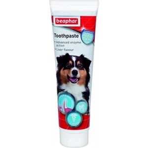 Toothpaste Et Aromalı Diş Macunu 100 gr
