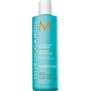 Hydrating Shampoo 250 ml