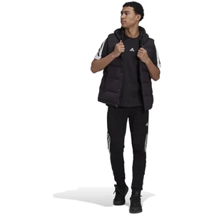 Adidas Helionic Vest Erkek Siyah Yelek HG6277