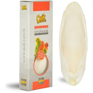 Mürekkep Bal.kemiği Orta (Kalamar)