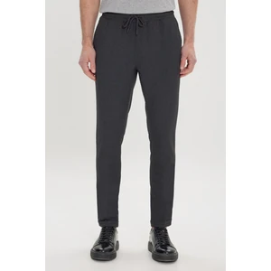Altınyıldız Classics Erkek Antrasit Slim Fit Rahat Kesim Beli Bağlamalı Yan Cepli Jogger Pantolon