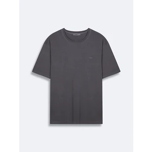 Gri T-Shirt