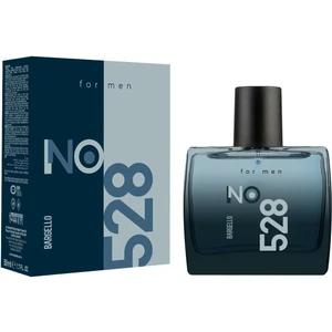 NO:528 Erkek 50 ml Parfüm Edp