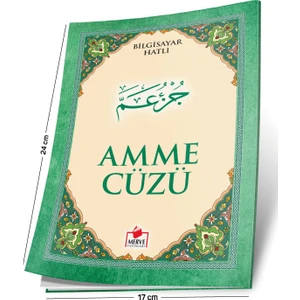 Amme Cüzü (Bilgisayar Hatlı)