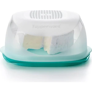 Peynir Dünyası Mini Turkuaz