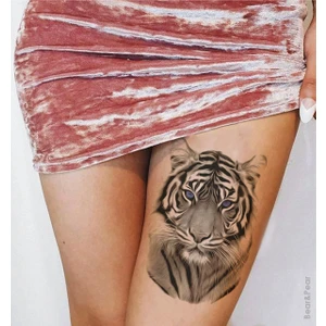Bear & Pear Gerçek Dövme Görünümlü Kaplan Dövmesi Tiger Tattoo