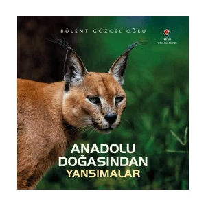 Anadolu Doğasından Yansımalar - Bülent Gözcelioğlu