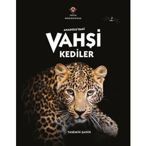 Anadolu'daki Vahşi Kediler - Yasemin Şahin